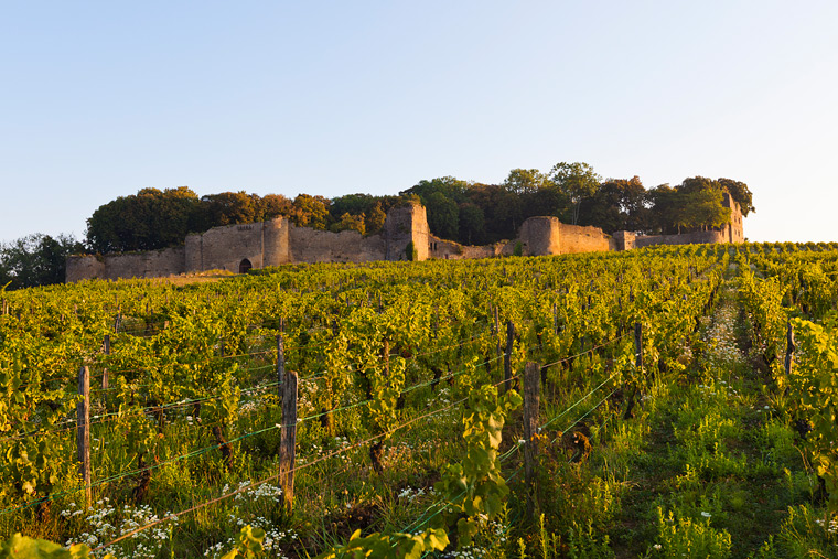 Château d'Arlay