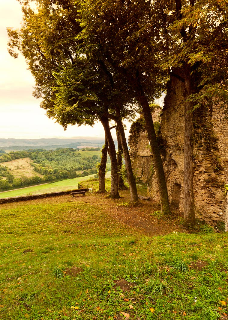 Château d'Arlay