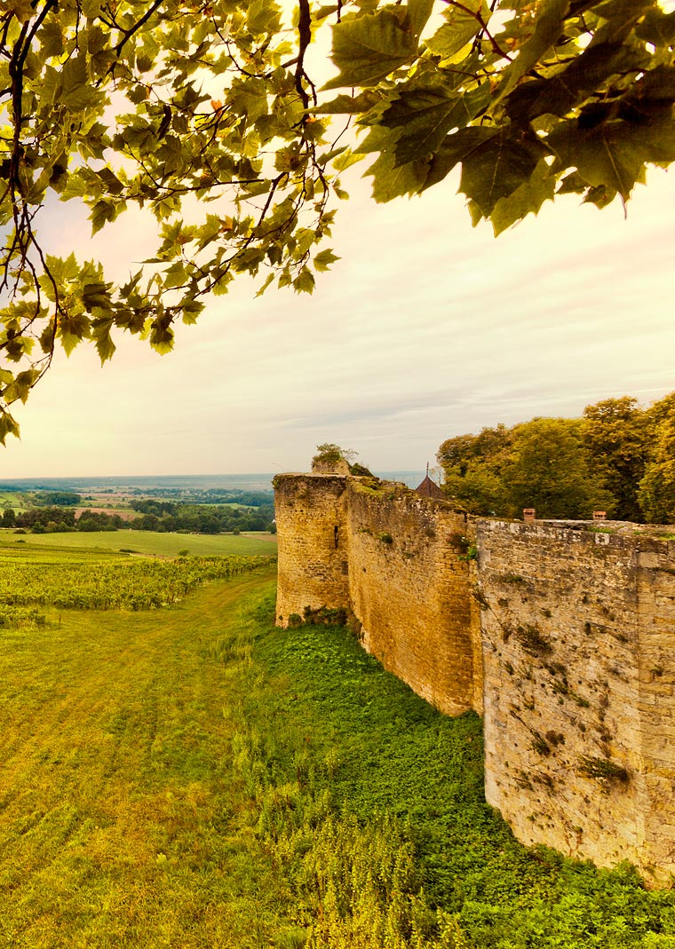 Château d'Arlay