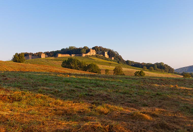 Château d'Arlay